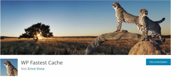 WP Fastest Cache WP Fastest Cache