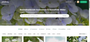 Bilddatenbanken wie Pixabay für Nischenseiten nutzen
