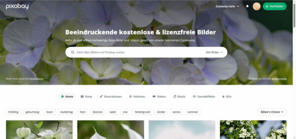 Bilddatenbanken wie Pixabay für Nischenseiten nutzen Bilddatenbanken wie Pixabay für Nischenseiten nutzen