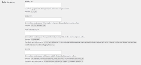 Cache Enabler Ausnahmen für Seiten und Besucher festlegen Cache Enabler Einstellungen für Cache-Ausnahmen mit Beitrags-IDs, Seitenpfaden, Abfragezeichenfolgen und Cookies