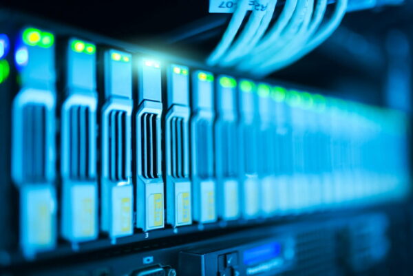 Domain und Hosting auswählen