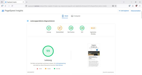 PageSpeed-Messung vor der Einrichtung von Cache Enabler PageSpeed Insights mit 99 Punkten vor den Cache Enabler Einstellungen