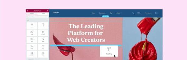 Elementor Page Builder