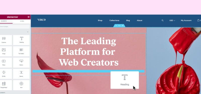 Elementor Page Builder