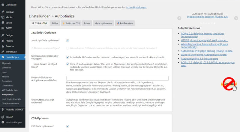 Autoptimize optimale Einstellungen