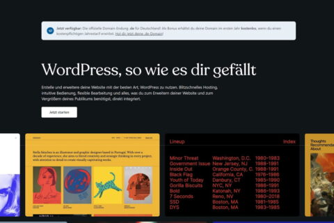 WordPress.com Website Screenshot