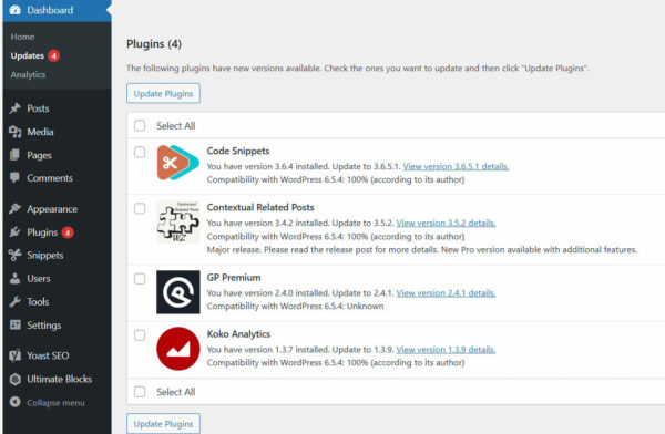 offene WordPress-Updates