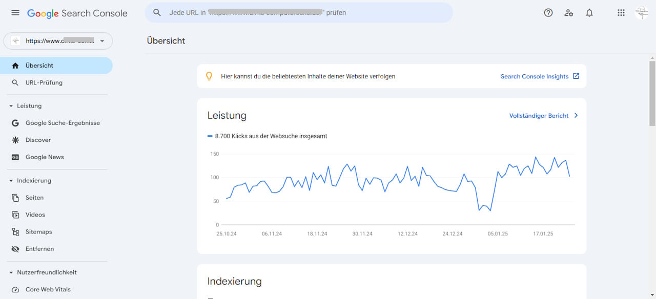 Screenshot der Google Search Console mit Leistungs- und Indexierungsberichten einer Webseite