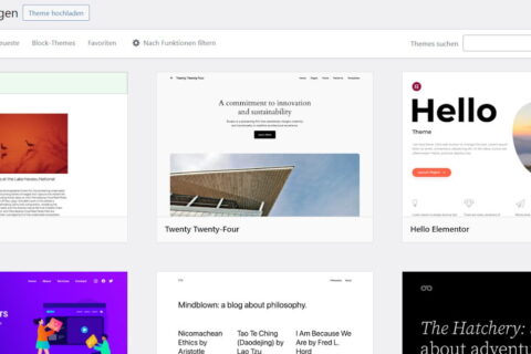 WordPress-Theme-Verwaltung mit beliebten Themes wie Astra und Hello Elementor.