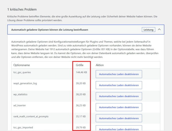 Große automatisch geladene Optionen in WordPress mit Performance Lab prüfen