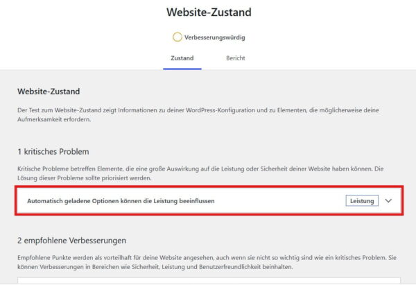 WordPress-Warnung zu automatisch geladenen Optionen im Website-Zustand