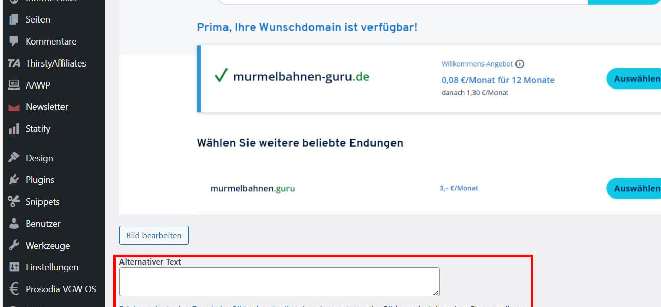 Alt-Text-Feld beim Bild-Upload in WordPress mit Beispielhinweis