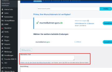 Alt-Text-Feld beim Bild-Upload in WordPress mit Beispielhinweis