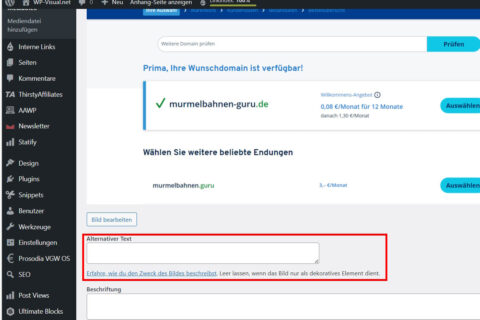 Alt-Text-Feld beim Bild-Upload in WordPress mit Beispielhinweis