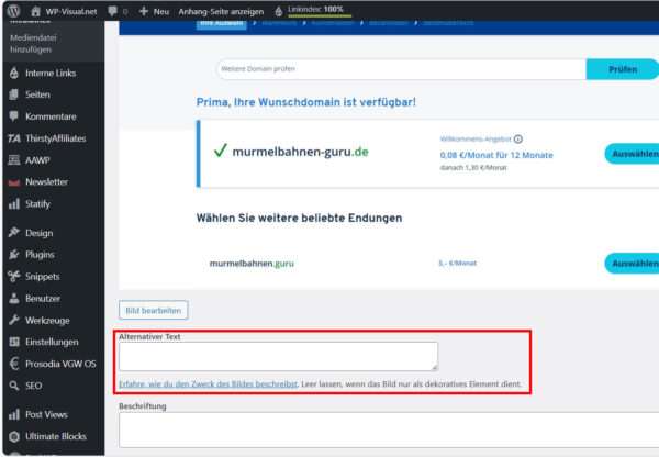 Alt-Text in WordPress eingeben – Bildbeschreibung hinzufügen Alt-Text-Feld beim Bild-Upload in WordPress mit Beispielhinweis