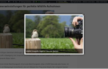 Bildergalerie mit Lightbox in WordPress mit geöffneter Bildvorschau