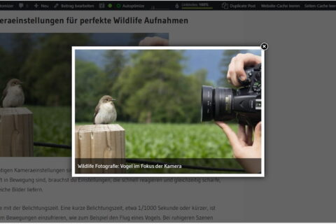 Bildergalerie mit Lightbox in WordPress mit geöffneter Bildvorschau