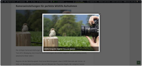 Bildergalerie mit Lightbox in WordPress mit geöffneter Bildvorschau