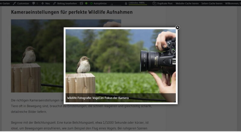 Bildergalerie mit Lightbox in WordPress mit geöffneter Bildvorschau