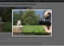 Bildergalerie mit Lightbox in WordPress mit geöffneter Bildvorschau