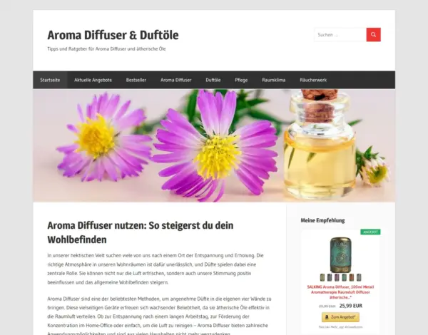 Screenshot einer klassischen Nischenseite mit klarem thematischem Fokus